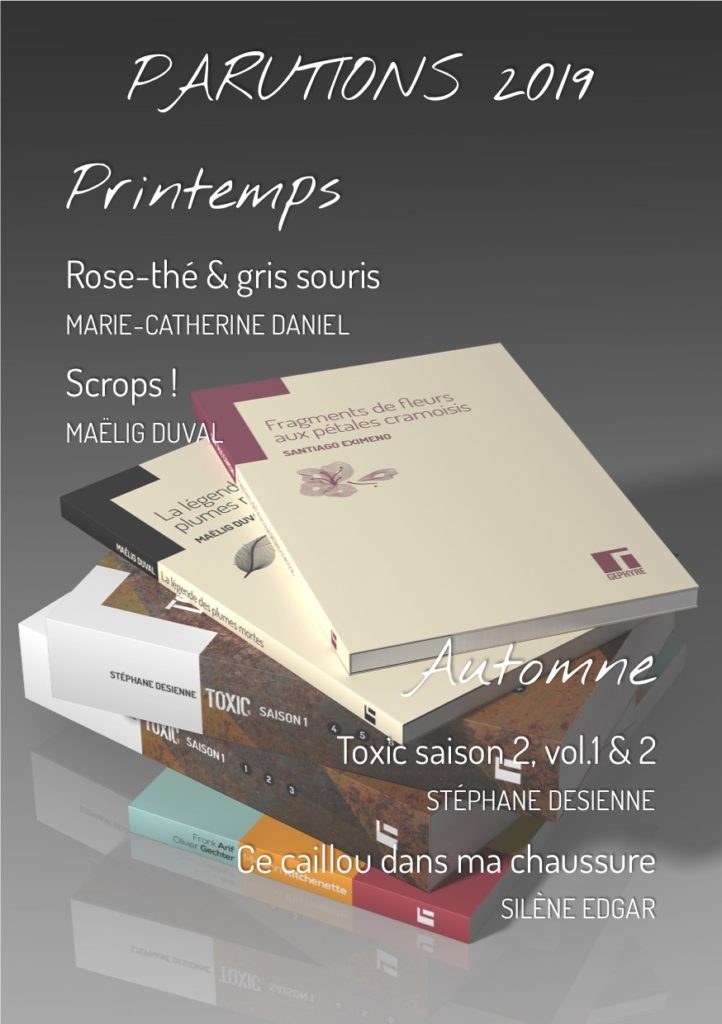 Titres Gephyre printemps 2019 : Scrops! de Maëlig Duval, science-fiction fantaisiste ; Rose-thé & gris souris de Marie-Catherine Daniel, petit format littérature contemporaine
Automne 2019
Ce caillou dans ma chaussure de Silène Edgar, petit format littérature contemporaine
Toxic saison 2, intégrale en 2 volumes de Stéphane Desienne, science-fiction zombies et aliens