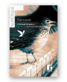Harmonie - Stephane Pavanelli