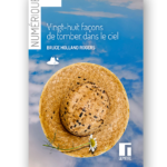 28 façons de tomber dans le ciel - numérique - Bruce Holland Rogers