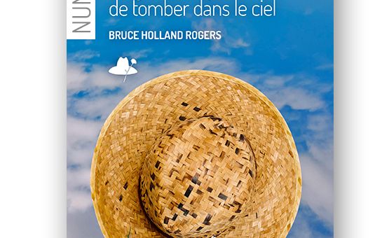 28 façons de tomber dans le ciel - numérique - Bruce Holland Rogers