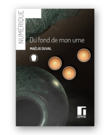Couverture Du fond de mon urne - numérique - Maëlig Duval